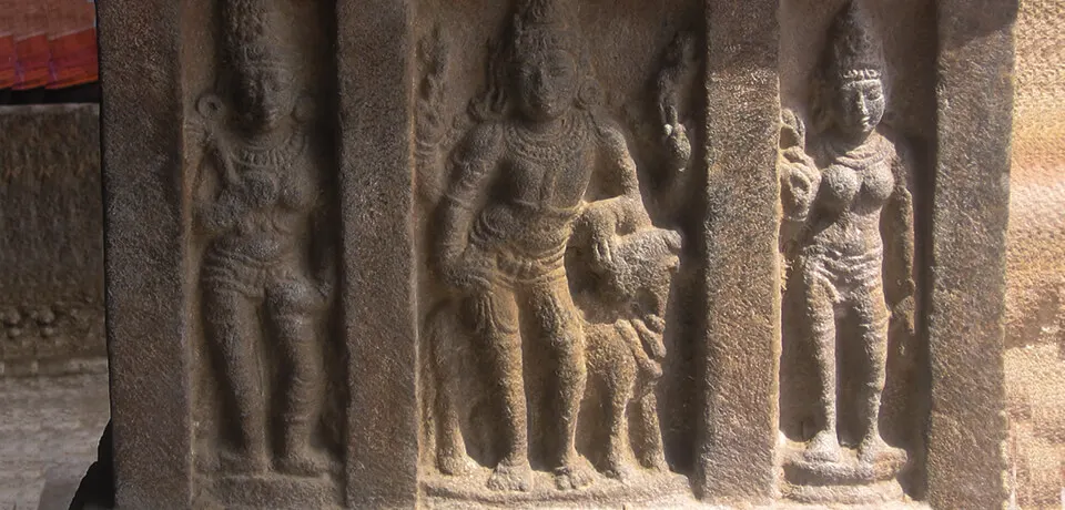 South India: Kerala & Tamil Nadu