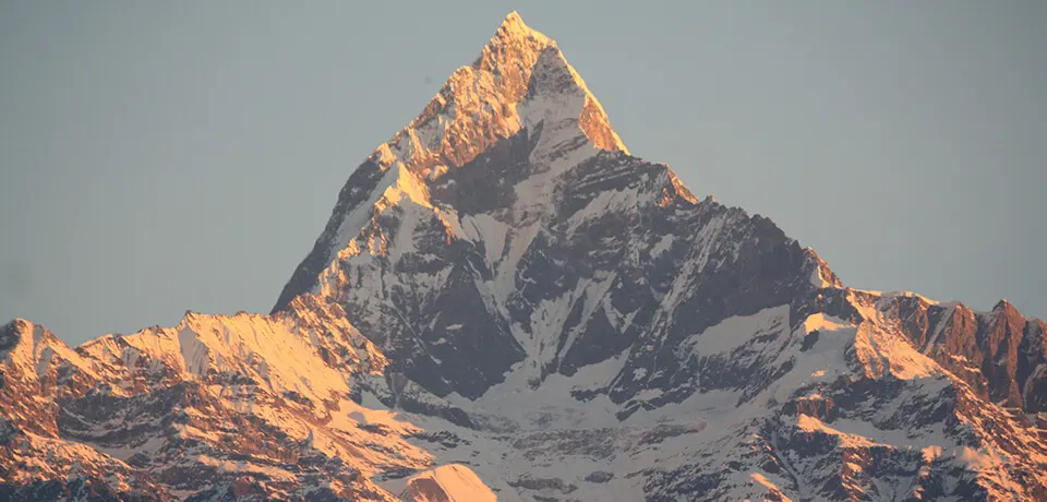 Annapurna Trek and Jungle Safari