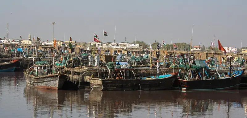 Gujarat- Unknown Treasures gallery image