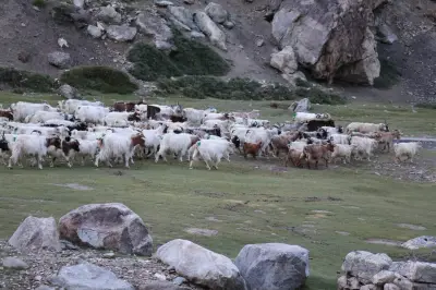India - Himalayan Frontiers