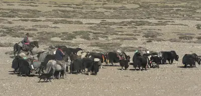 Chang-Thang to Spiti gallery image