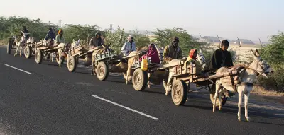 Gujarat- Unknown Treasures gallery image