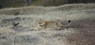 Gujarat- Unknown Treasures gallery image